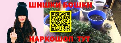 крисы Гагарин