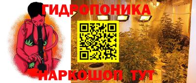 метадон Гай