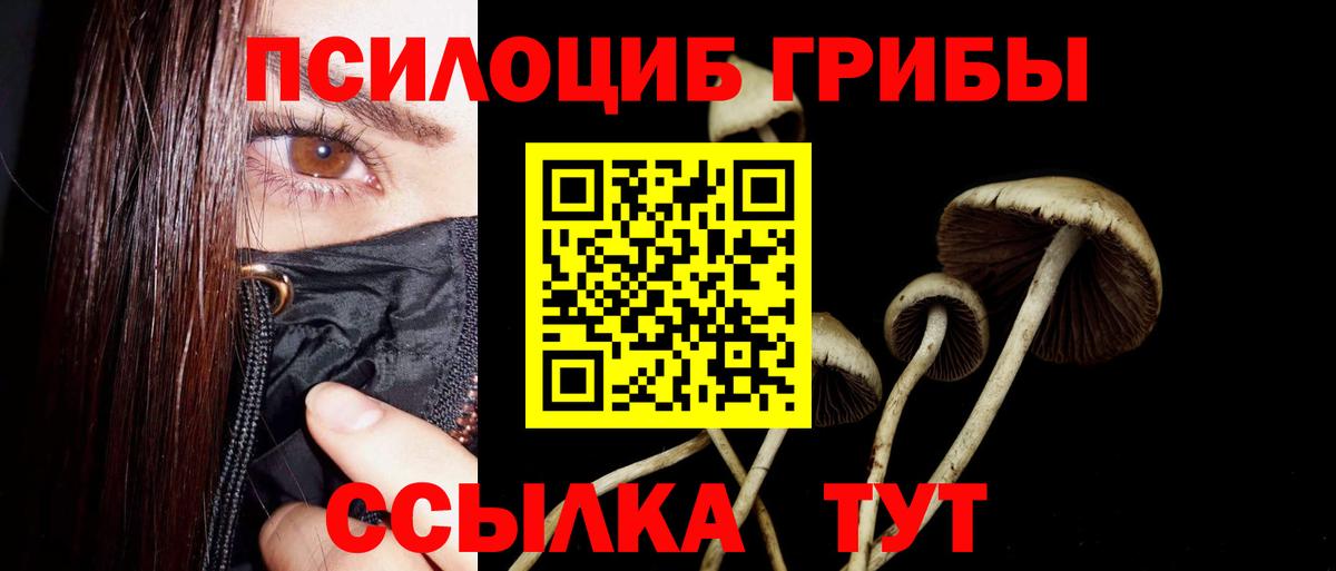 Псилоцибиновые грибы ЛСД  Псилоцибиновые грибы мухоморы  Нерюнгри 