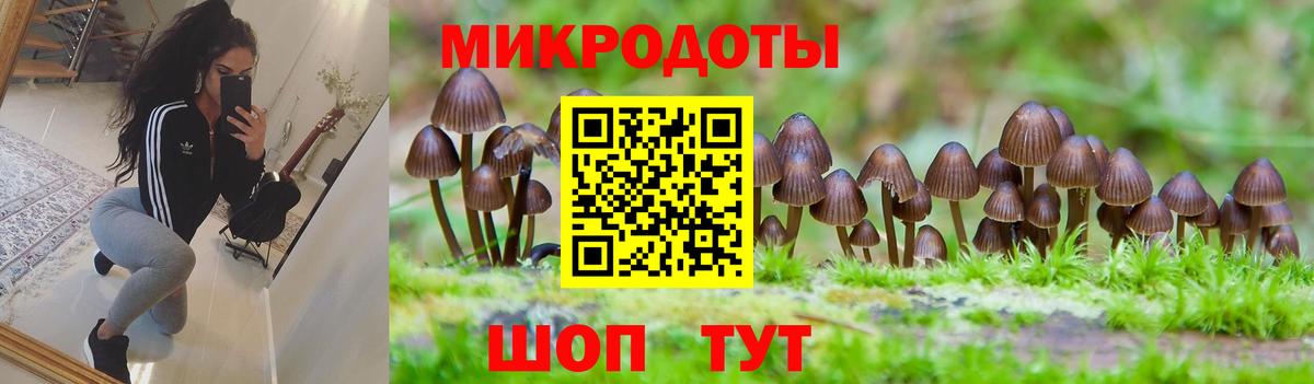 Галлюциногенные грибы мицелий  Галлюциногенные грибы мицелий  Нерюнгри  цены наркотик  Вход с VPN 